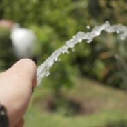 AquaNut