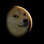 MoonDoge