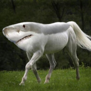 Dobranator
