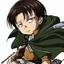 levi