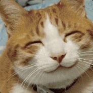 Mickey Mouse Mexican