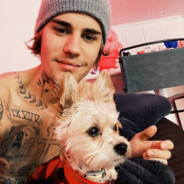 请问一下有没有卖半岛铁盒