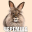 КОРОЛЬ СОЛЕВЫХ