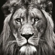 n0Control - steam id 76561198011599352