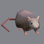 R4TTOR