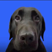 守营太多失去陈伯