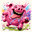 Porkington Prime