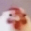 Hyuston