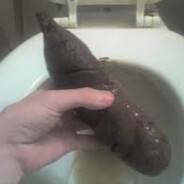 Top Rated Regional Priest