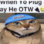 CGAY