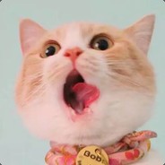 兜兜冲了，赫赫没了