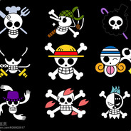 每天都要买可乐