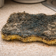 Leftover Dish Sponge