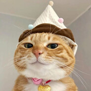 Neves ufihS傅师七