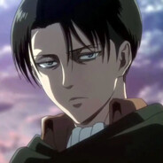 Levi