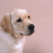 Q     sniper            MK