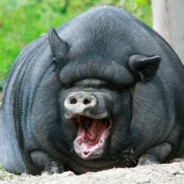 создатель кс го