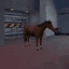 Half-Life: Opposing Horse