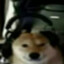 TheInternetGuy