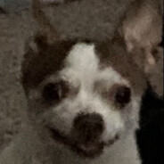 KAIDOTEXE!