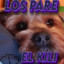los pare.kili.y.vane