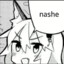 NASHE