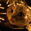 Lantern-Cat