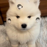 Big Avatar