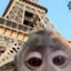 leonardosuup