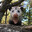 Dirty Opossum