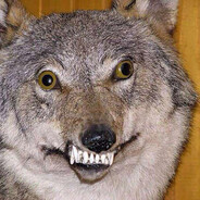 Апасный гном