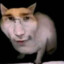 Elo Żelo