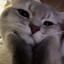скотина's avatar
