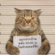 牛马不及你温柔