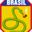 A cobra vai fumar