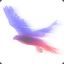 falco d&#039;argento