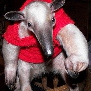 Anteater