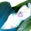 seliana lol