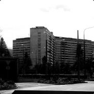 ”ˆ˜¨ קเtคtςђ๏к