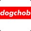 dogchob