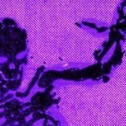 𝔞𝔰𝔞𝔰𝔢𝔩