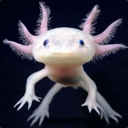 Architeuthis - steam id 76561197961418892