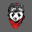 Panda_Pilot