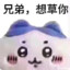 dddwg
