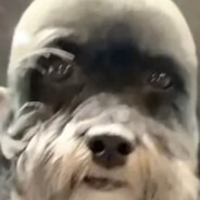 sqerto