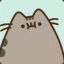 pusheen