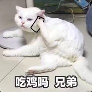 还有大米饭吗