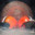 Cooktah avatar