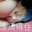 久戦必殇
