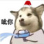 求求你别送了